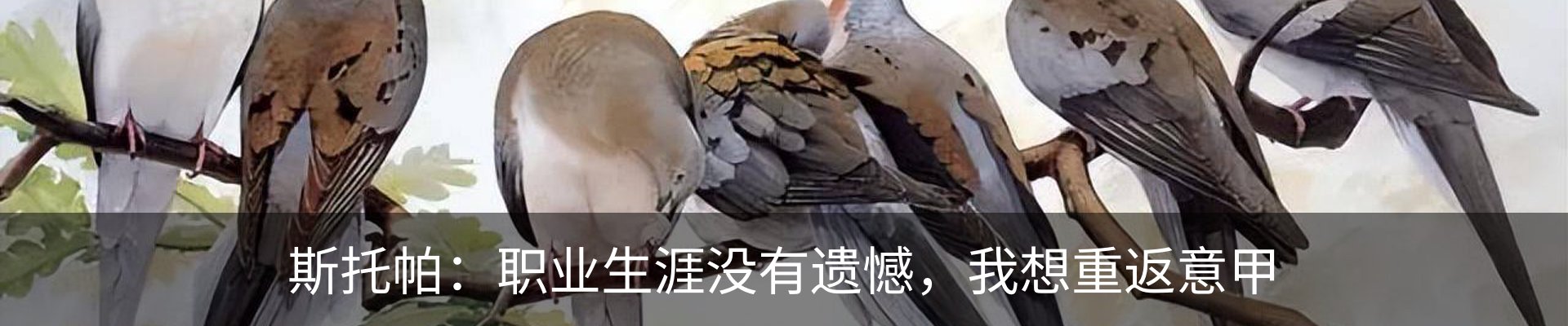 行业资讯